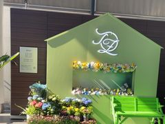 -利星行天竺之星汽车有限公司