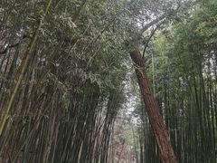 -四门塔风景区