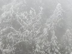 -武陵山森林公园