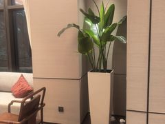 -上海宝华喜来登酒店·采悦轩中餐厅