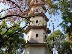 -江心屿景区