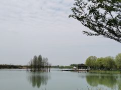 -尚湖风景区
