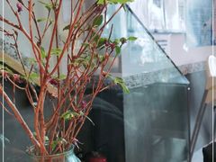 -山茶云南菜(中关村店)