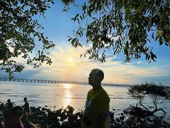 -宝安西湾红树林湿地公园