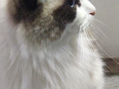 -零纪元VR体验馆·桌游(黄浦店)