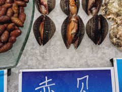 -双井轩(双井店)