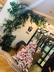 -Union瑜伽健康管理中心