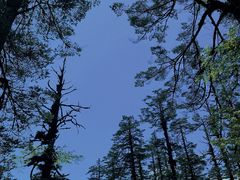 -瓦屋山景区