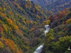 -秦岭风景区