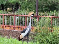 -齐齐哈尔龙沙动植物园