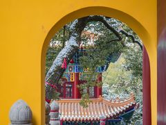 -宝通禅寺