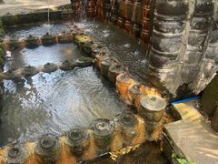 -土砂锅生态山庄·非遗砂锅雅鱼