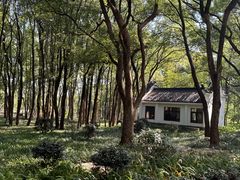 -东湖落雁景区