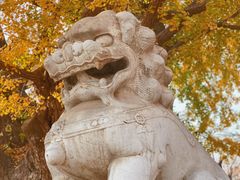 -北京石刻艺术博物馆(五塔寺)