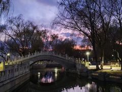 -丰台科技园生态主题公园