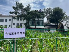 -云禾壹海景庄园餐厅