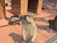 -南戴河国际娱乐中心