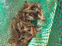 -老船长海鲜大排档(银滩店)