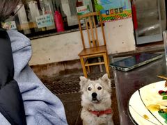 -阿东农家菜(新场古镇下塘街店)