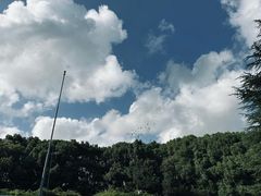 -宋庆龄陵园