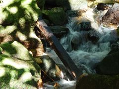 -海南热带雨林国家公园吊罗山景区