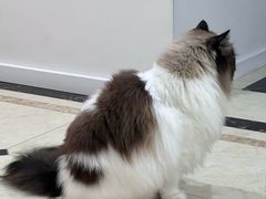 -它主义宠物(梁溪万达店)