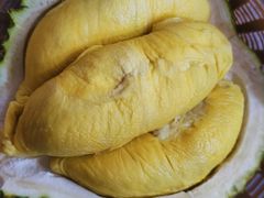 -都念榴莲·城市榴莲