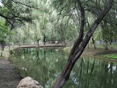 -长白岛森林公园