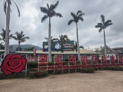-亚龙湾国际玫瑰谷
