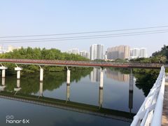-金鸡岭桥头公园