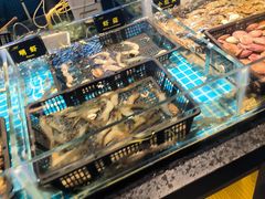 -九月海·海鲜自助(世纪东方店)