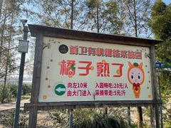 -上海长兴岛郊野公园