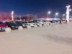 -丁香湖丁香小镇Citypark滑雪公园戏雪嘉年华