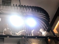 -陈记顺和潮汕牛肉火锅(番禺迎宾大道店)
