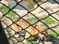 -大连森林动物园