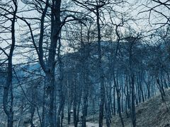 -青龙山景区