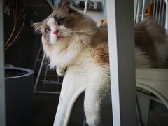 -隹木咖啡馆(宝龙广场店)