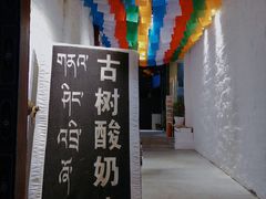 -古树酸奶(八廓南街店)