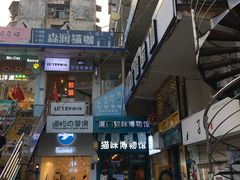 -猫咪博物馆(顶澳仔猫街店)