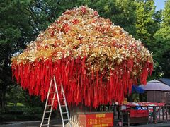 -狼山风景名胜区