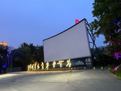 -枫花园汽车电影院(朝阳公园店)