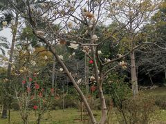 -云溪植物园