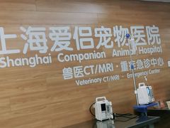 -爱侣宠医·鹦鹉专科·小型哺乳类·异宠专科(灵石路店)