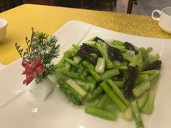 芦笋百合羊肚菌-钦善斋(武侯祠店)