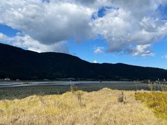 -腾冲北海湿地
