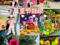-南湖梦幻岛