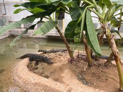 -石家庄市动物园