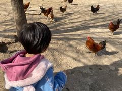 -甜心庄园·甜心草莓采摘园(西青中北店)