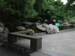 -神仙树公园