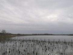 -东滩湿地公园观海楼餐厅
